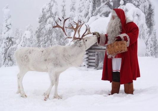 Reindeer Treats